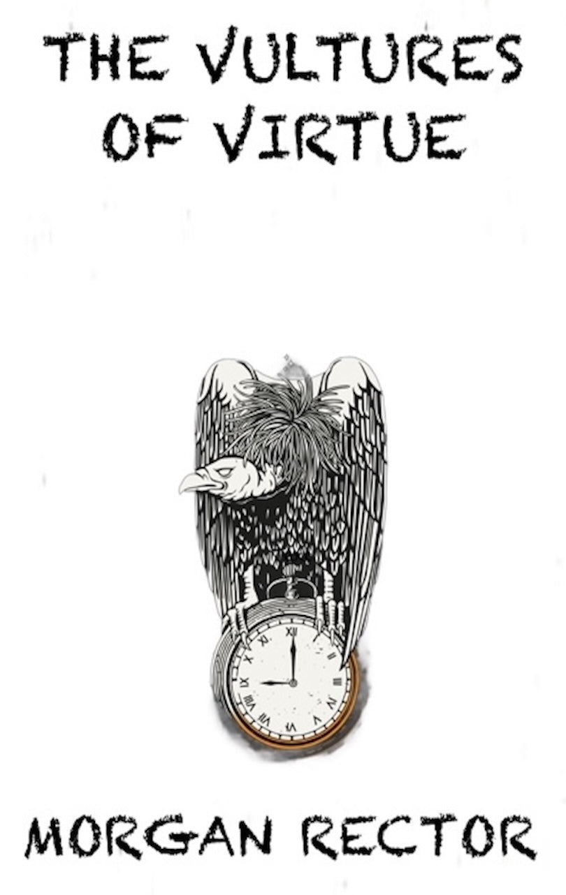 The Vultures of Virtue: A novel